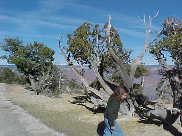 MVC-046S.JPG