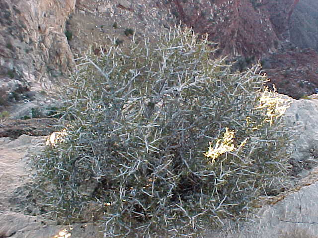 MVC-053S.JPG