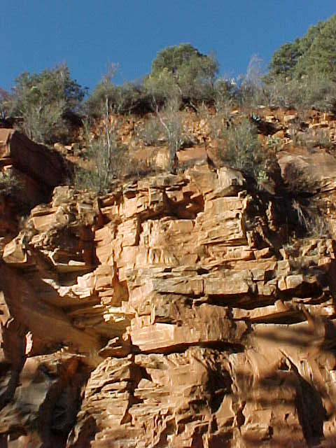 SEDONA.JPG