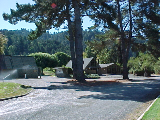 MVC-161F.JPG