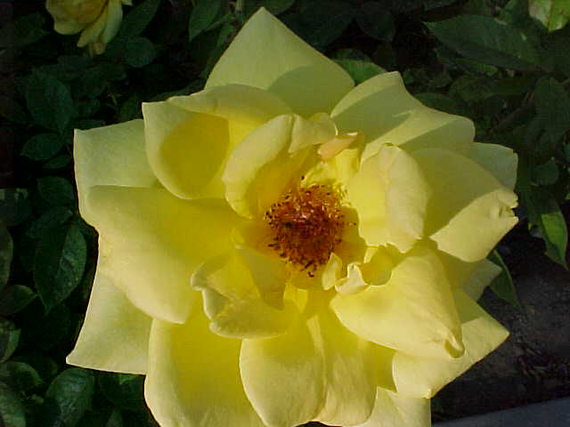 MVC-711S1.JPG