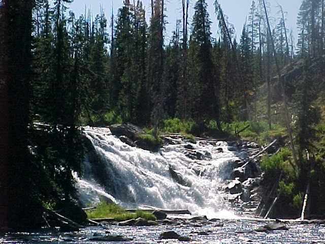YOSEMITE AREA RIVER.jpg