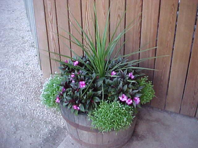 FLOWER 9.jpg