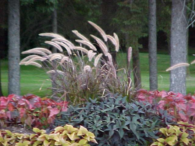 FLOWER BED 1.jpg