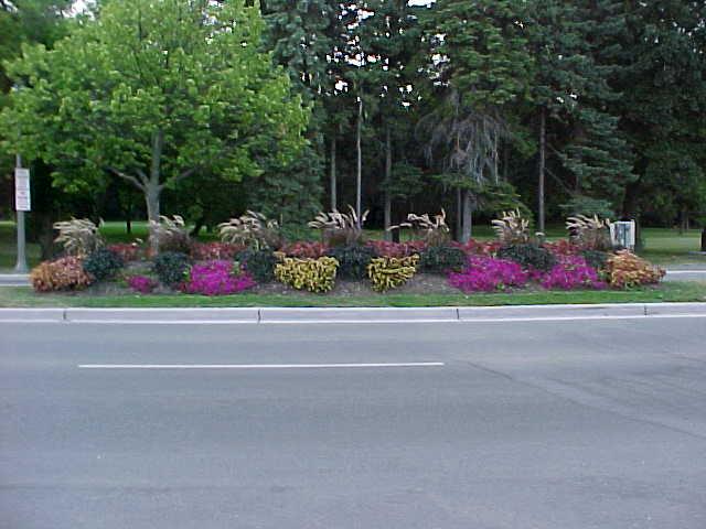 FLOWER BED 2.jpg