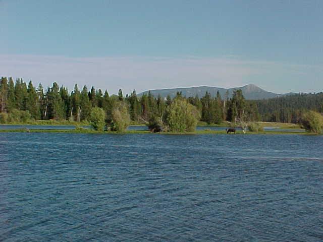 GRAND TETON AREA 5.jpg