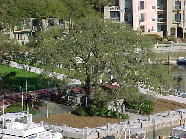 Recovered archive photograph MVC-615S.JPG