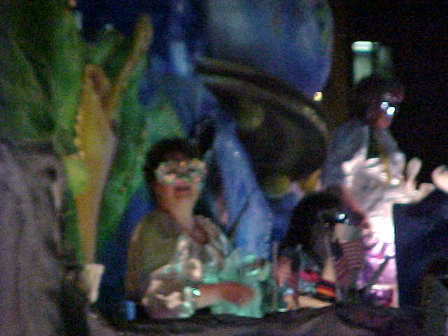 Night parade performers