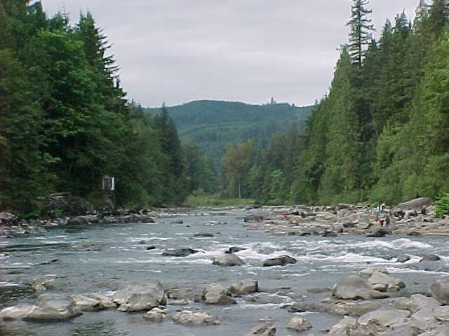 Mountain river