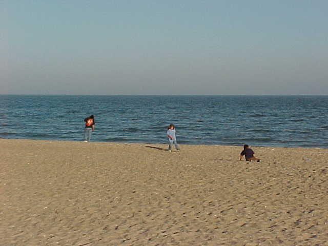 Beach / oceanfront