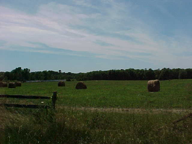 Rural hayfield