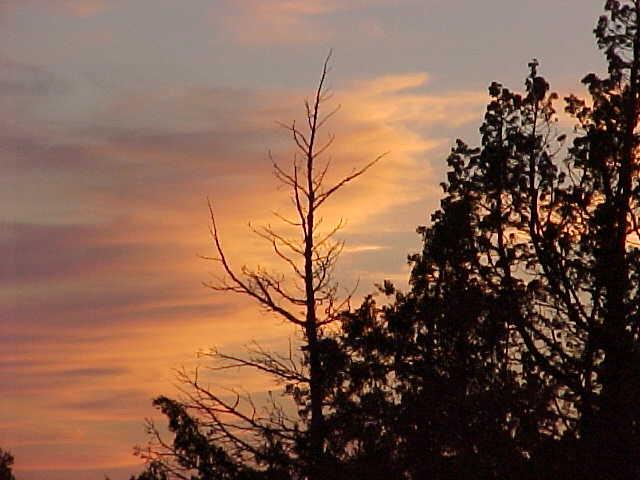 Recovered archive photograph DAKOTA SUNSET.jpg