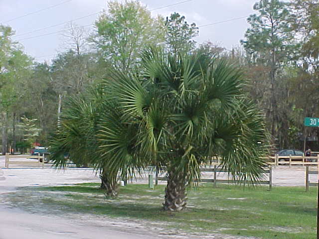MVC-552S.JPG