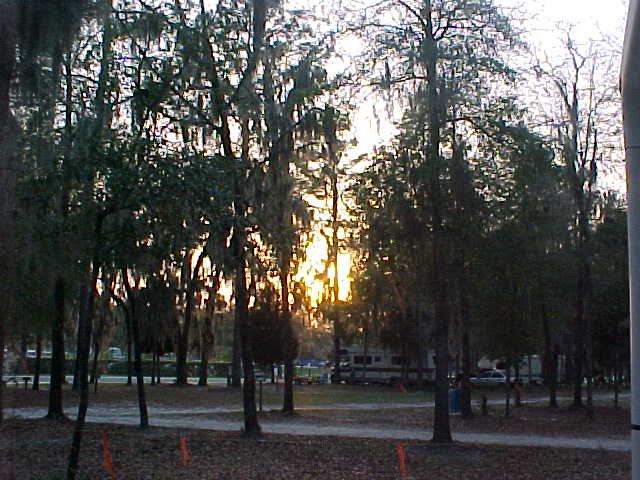 MVC-559S.JPG